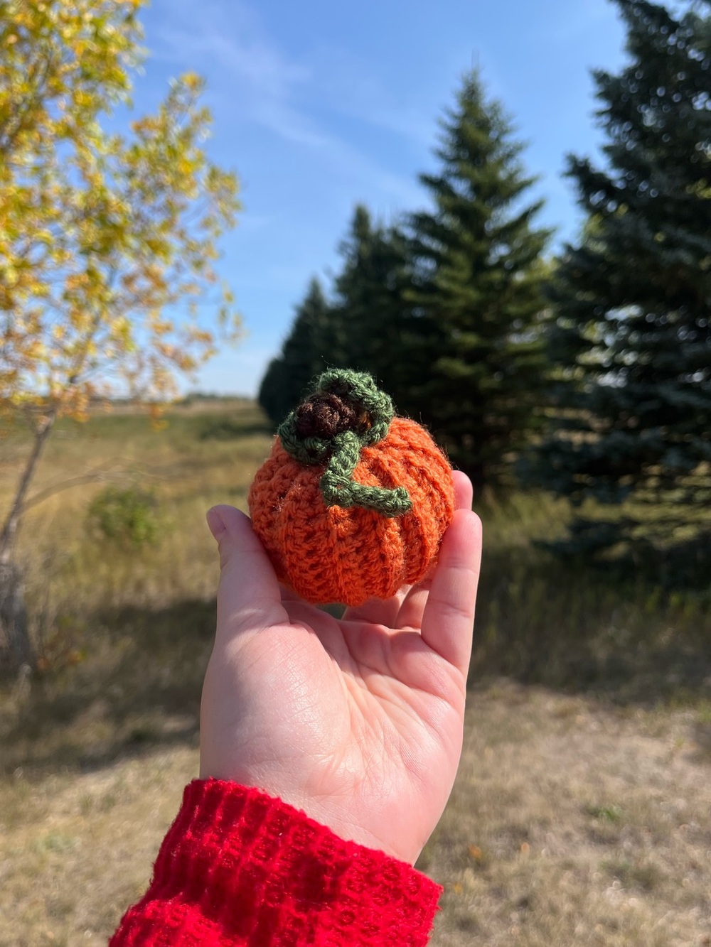 Handmade Pumpkin Decor 🎃🍁🍂 - Picture 5 of 7
